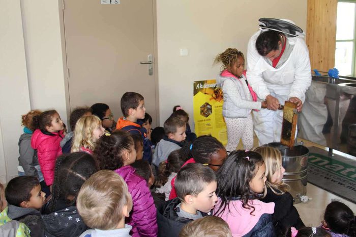 Le Mesnil-Amelot ► 11 kg de miel pour la première récolte