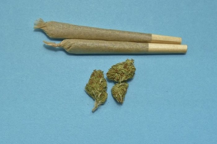 Mesure ► Cannabis : vers une dépénalisation… probablement