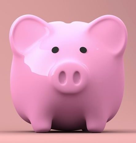 Intervention au JT ► Emmanuel Macron « fait ce qu’il dit » et ira « jusqu’au bout »