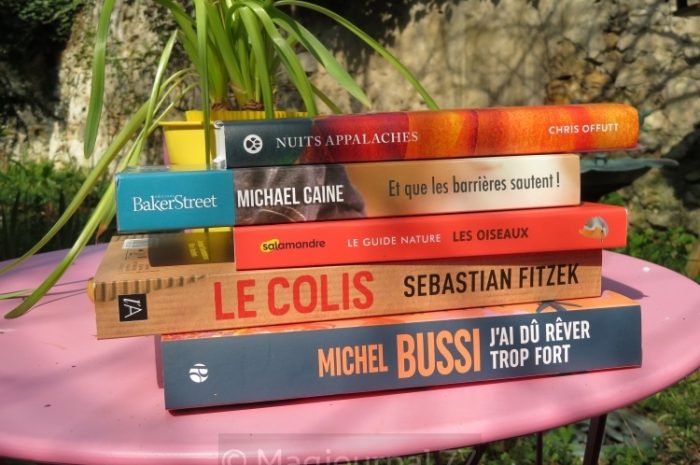 Idées de lecture ► L’amour, le cœur, et l’équilibre précaire dans les abysses de chemins tortueux