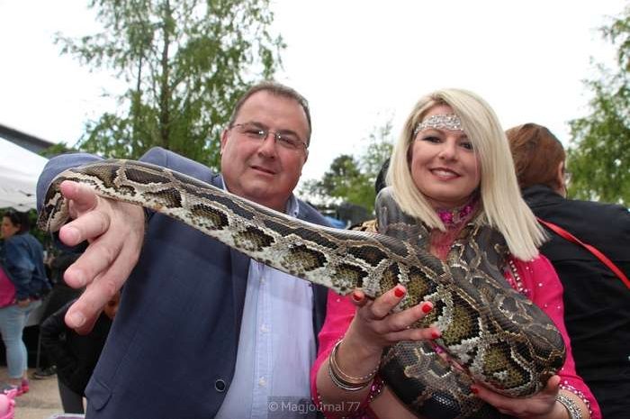 Le Mesnil-Amelot ► Les pythons ont attiré les curieux en nombre à la fête de la Nature [Vidéo]