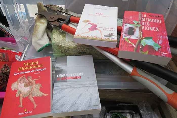 Idées de lecture ► Comme un proverbe : passé ombrageux, sérénité nouvelle