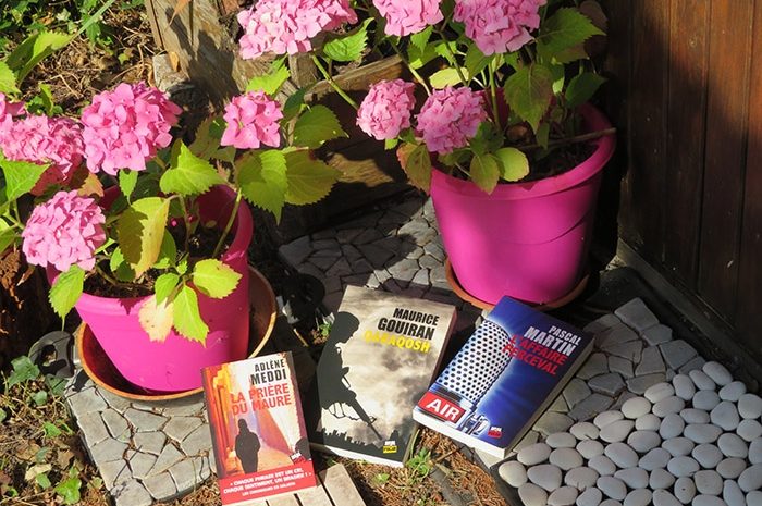 Idées de lecture ► Les polars décoiffent, dérangent, s&rsquo;arrangent entre chaos et chantage