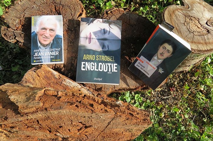 Idées de lecture ► Connaissance de l&rsquo;humain et un thriller qui refroidit le squelette