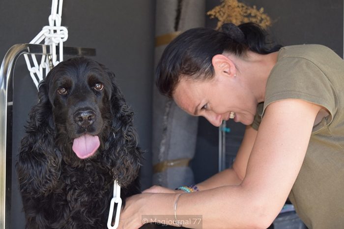 Lagny-sur-Marne ► Titoun toilette les chiens chez elle