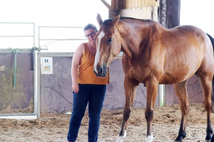 La Haute-Maison ► Des chefs d&rsquo;entreprise ont reçu un cours d&rsquo;équi-coaching