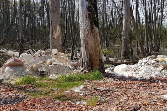 Compans ► La Ville s’inquiète de « l’état » du Grand-Marais