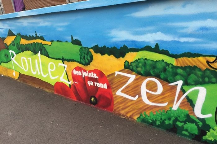 Thorigny-sur-Marne ► Humour et détournement de mur : les conseils se lisent en un clin d’œil