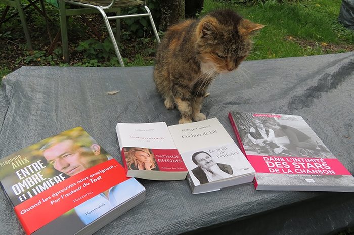 Idées de lecture ► Une seule constante dans cette sélection : la vision intérieure de l&rsquo;homme dont celui émouvant de Nathalie Rheims