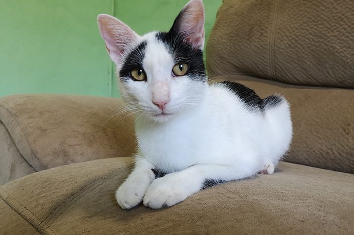 La clé de la réussite ► Gardez les yeux rivés sur le projet qui vous tient à cœur