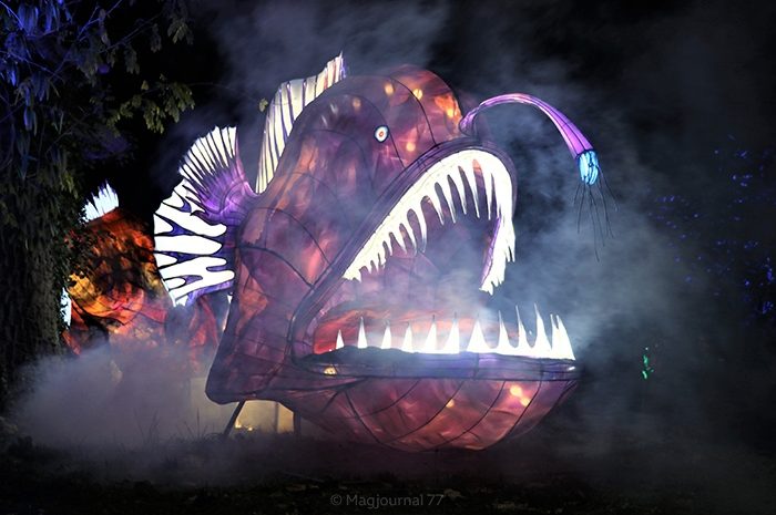 Paris ► Exposition-événement au Jardin des plantes : océan en voie d&rsquo;illumination [Vidéo]