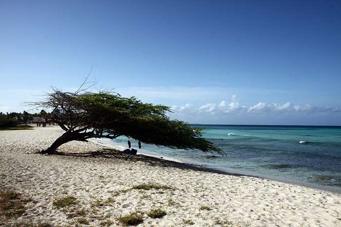 Arubaac