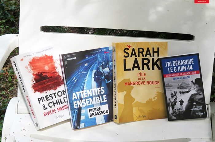 Idées de lecture ► Une île, une rivière, un débarquement historique et beaucoup d&rsquo;eau qui va couler sous les ponts