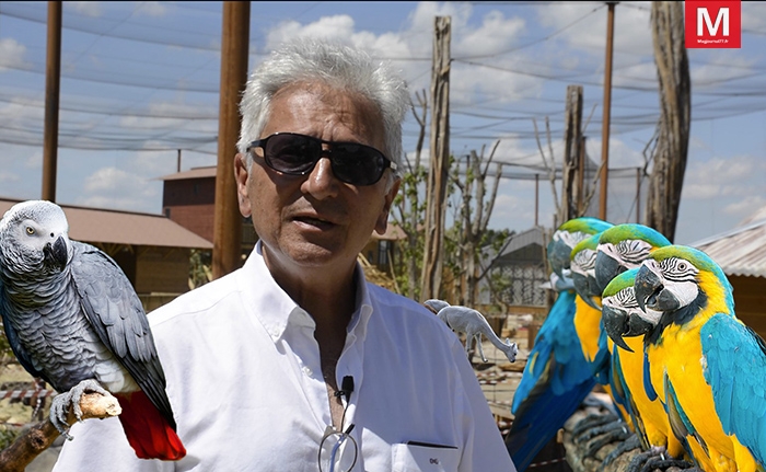 Crécy-la-Chapelle ► Parrot World : en immersion chez les perroquets [Vidéo]