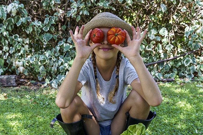 Roissy Pays de France ► De la graine à l&rsquo;assiette : l’alimentation saine et durable se découvre