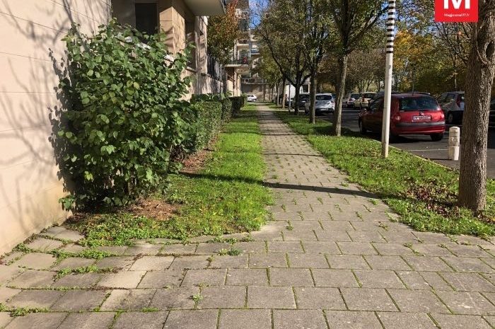 Bussy-Saint-Georges ► Meurtre et fake news : la victime de la rue Claude-Nicolas-Ledoux n’était pas d&rsquo;origine asiatique