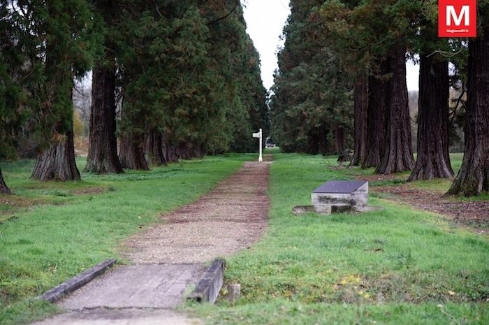 Bussy-Saint-Georges ► Peggy, agent de la Ville, retrouvée morte en forêt de Ferrières 