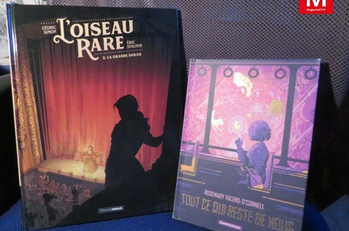 Idées de lecture ► BD : la plume du dessin devient poésie