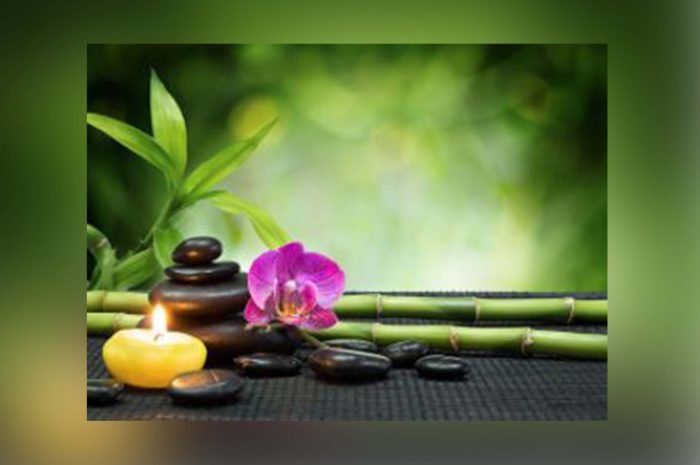 Bien-être ► Feng shui : maison, bureau, jardin… l&rsquo;aménagement qui optimise la circulation de l&rsquo;énergie et change la vie