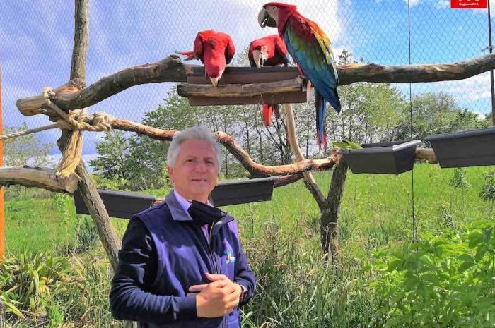 Crécy-la-Chapelle ► [Vidéo] Parrot World a rouvert ses portes après six mois de fermeture
