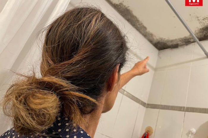 Montévrain ► L&rsquo;eau s&rsquo;infiltre dans un appartement de l&rsquo;écoquartier : une famille demande à être relogée 