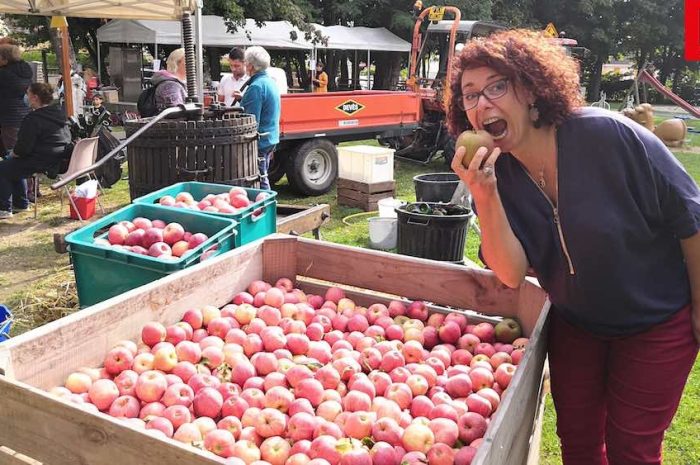 Crégy-lès-Meaux ► [Vidéo] Du jus, du cidre, des pommes : le fruit était à la fête