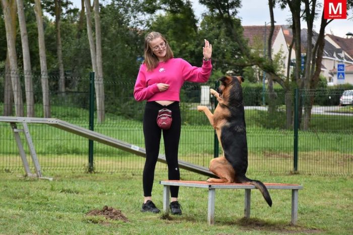 Magny-le-Hongre ► [Vidéo] Dans le parc du Lochy, un nouvel espace qui a du chien 