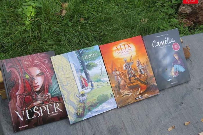 Idées de lecture ► BD : de la douceur, du fantastique et de l&rsquo;action