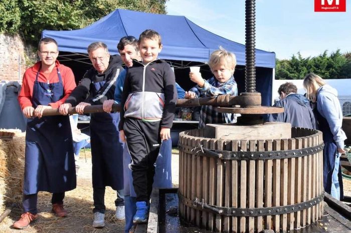 Dammartin-en-Goële ► [Vidéo] Foire à la pomme : le comité des fêtes a augmenté le nombre d&rsquo;exposants