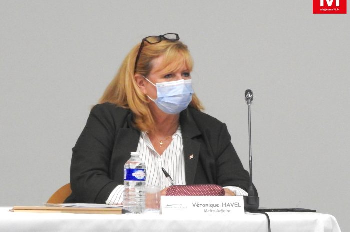 Dammartin-en-Goële ► Conseil municipal : la protection fonctionnelle est accordée à Véronique Havel