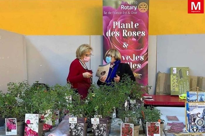 Claye-Souilly ► Le Rotary Club se porte à la rescousse des abeilles
