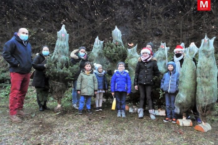 Gouvernes ► [Vidéo] L&rsquo;Amicale des enfants a vendu des sapins pour financer ses activités