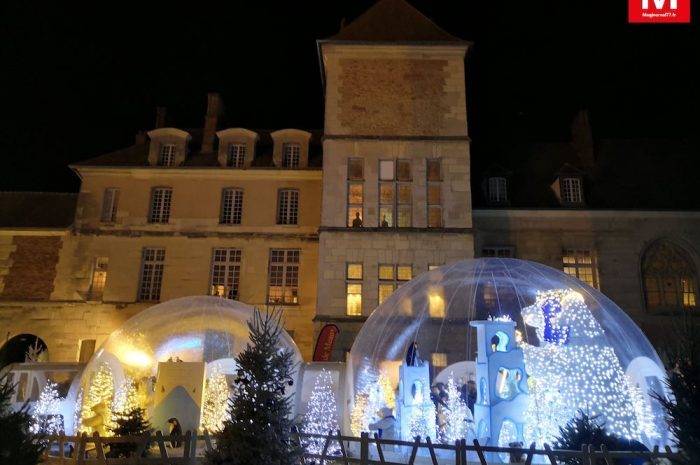 Meaux ► [Vidéo] Pingouins, ours polaires et phoques se sont donné rendez-vous aux Bulles enchantées