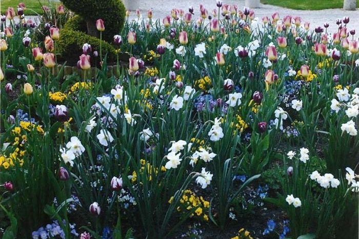 Saint-Soupplets ► La commune s&rsquo;inscrit à l’opération « Villes et villages fleuris 2022 »