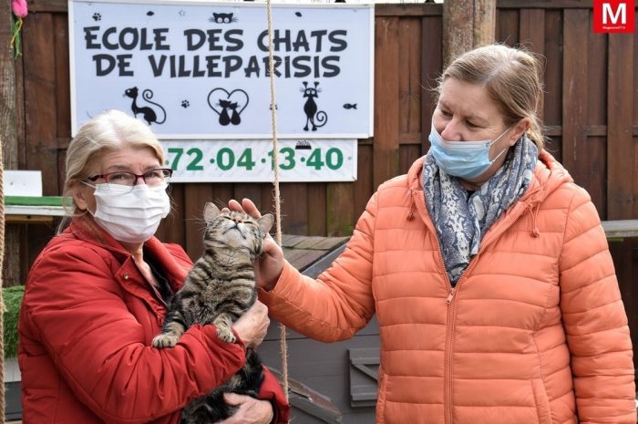 Villeparisis ► [Vidéo] L’École des chats libres donne une seconde chance aux félins sans foyer