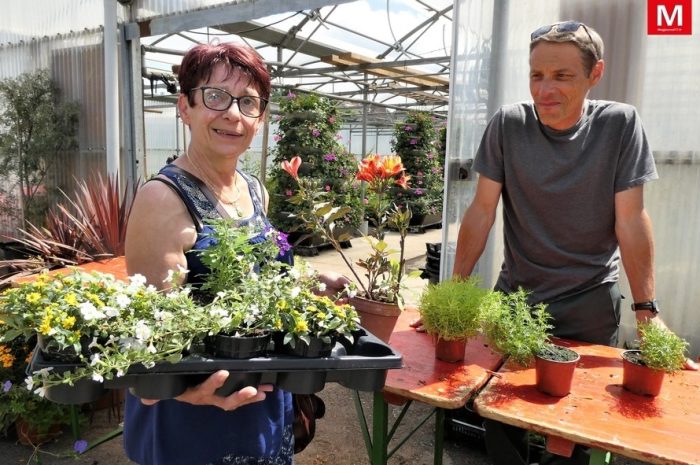 Lagny-sur-Marne ► [Vidéo] Les Floréales aux serres municipales : les visiteurs ont profité de l’explosion printanière de couleurs