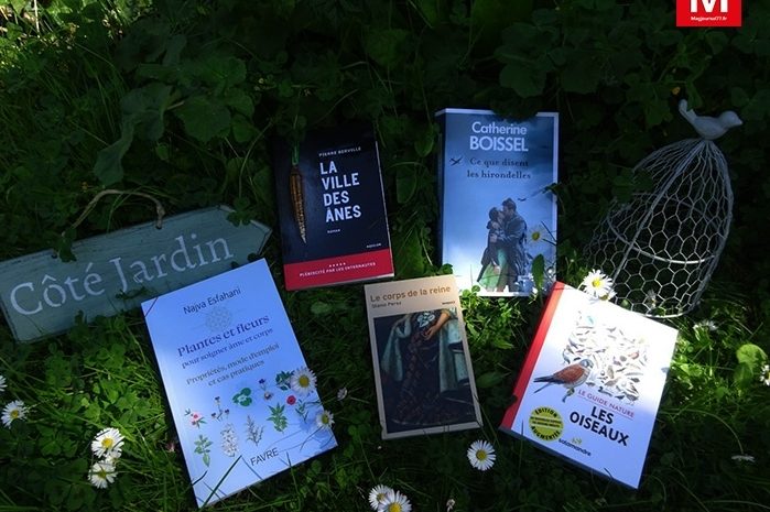 Idées de lecture ► Oiseaux, ânes, hirondelles… et nature humaine