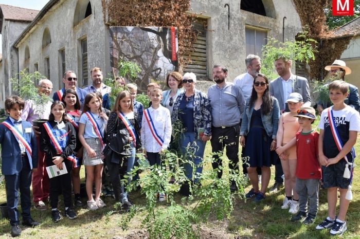 Val d&rsquo;Europe agglomération ► [Vidéo] « Arbre remarquable » de Montry : les petits du sophora ont été distribués aux maires