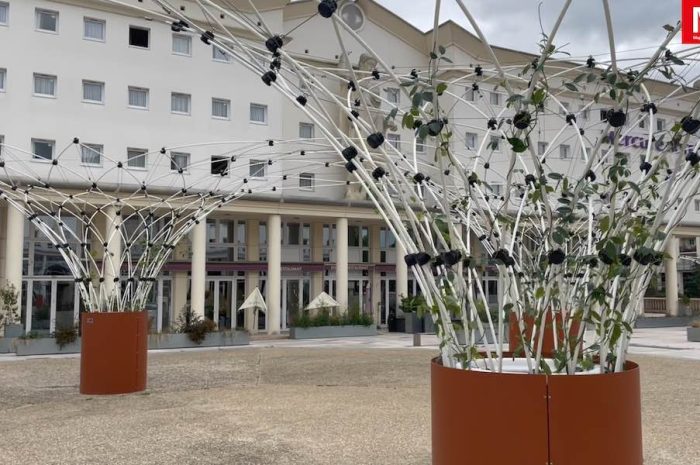 Bussy-Saint-Georges ► [Vidéo] Embellissement de la ville : des canopées de végétaux ont été installées sur la Grand Place 