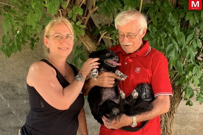 Villevaudé ► [Vidéo] Le refuge pour animaux est saturé : 56 demandes d’abandon en une semaine