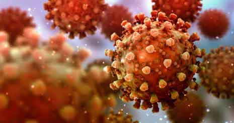 Seine-et-Marne ► Covid-19 : rebond épidémique avant l’été