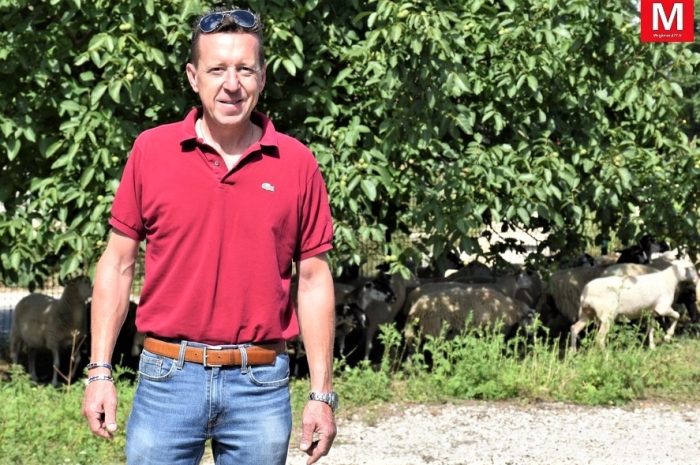 Conches-sur-Gondoire ► [Vidéo] Éco-pâturage : les nouveaux bergers investissent les communes