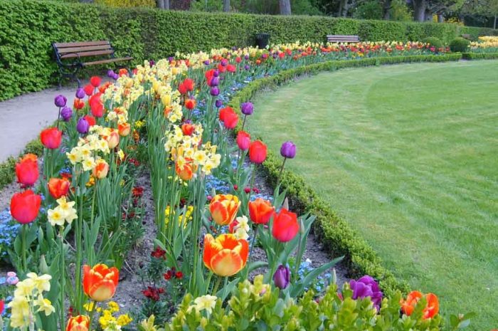 Meaux ► La ville conserve le label 4e fleur