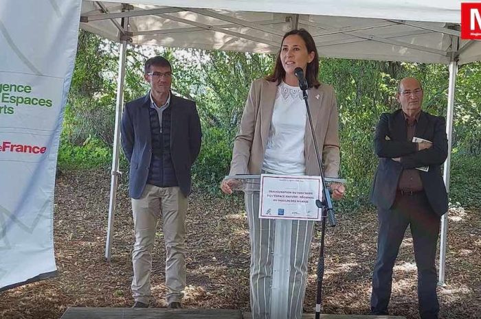 Mitry-Mory ► [Vidéo] L’entrée du bois du Moulin des marais fait peau neuve 