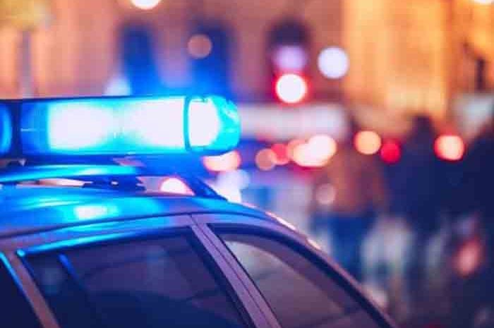 Meaux ► Le chauffeur de bus transportait du cannabis