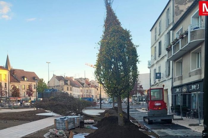 Meaux ► [Vidéo] La transformation du square Georges-Brassens s’accélère : des érables longues tiges ont été plantés 