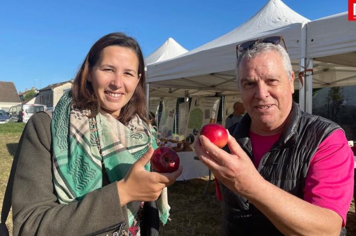 Mitry-Mory ► [Vidéo] Fête de la pomme : le fruit a été cueilli un peu partout dans la ville 
