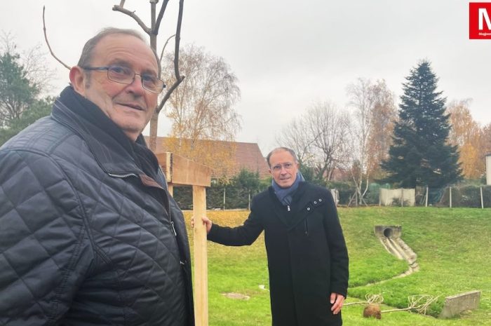 Saint-Mard ► [Vidéo] Les premiers arbres de l’opération « 10 000 plantations » ont été mis en terre