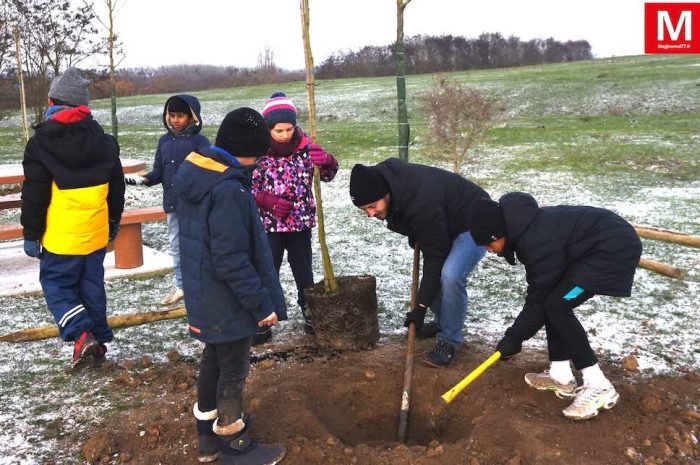 Claye-Souilly ► [Vidéo] Cent dix arbres au parc du Papillon de la Prée : les enfants du conseil municipal ont commencé les plantations