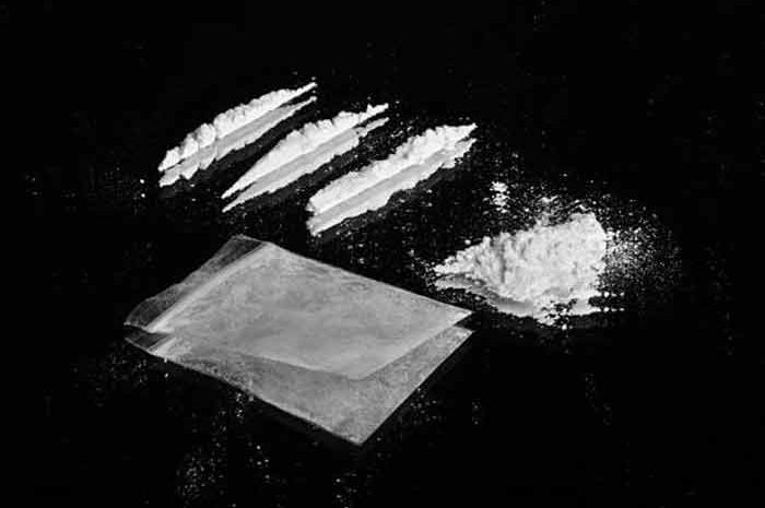 Seine-et-Marne ► L’accident de l’humoriste Pierre Palmade fait ressortir l’usage de la cocaïne : la drogue se répand comme une traînée de poudre